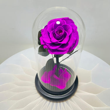 Infinity Purple Rose in Glass Dome – A Unique Valentine’s Gift